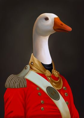 Royal duck