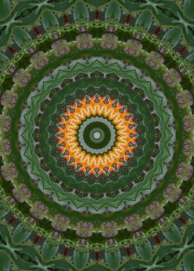 Green grass Kaleidoscope 2