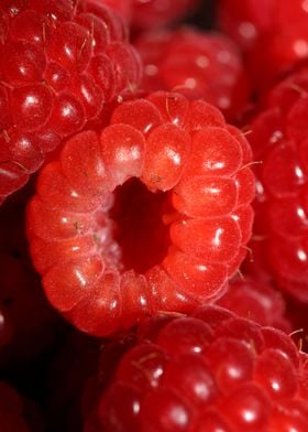 Fresh red berries close up