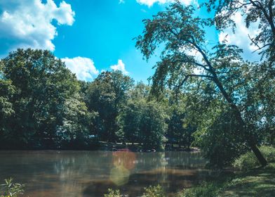 Lake in the woods