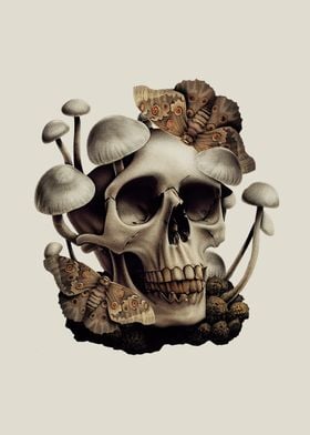 Mushroom Skull