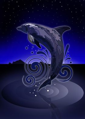 Dolphin Night