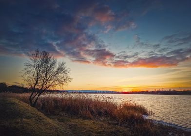 Evening scene at the lake 