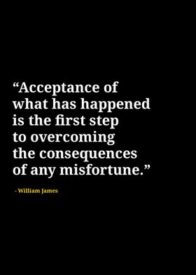 William James quotes 