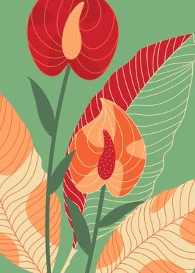 Anthurium Dreams