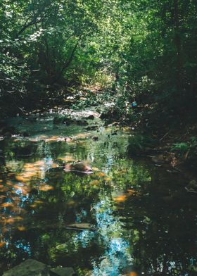 Creek flowing through the 