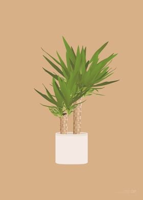 Yucca Plant Illustration