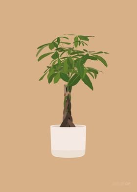 Money Tree Illustration