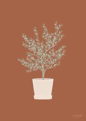 Olive Tree Illustration