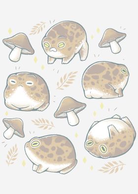 Rain Frogs