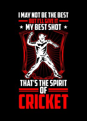 The spirit of cricket