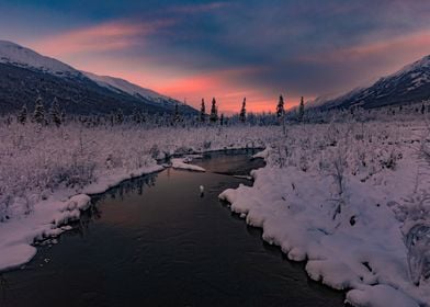 Alaskan Sunset 