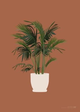 Cat Palm Illustration