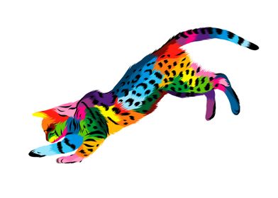 Abstract bengal cat