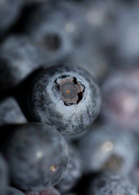 Fresh blueberries close up