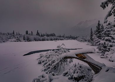 Snowy Alaska