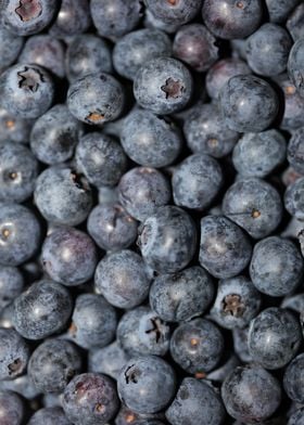 Fresh blueberries close up