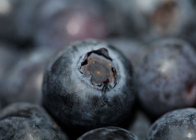 Fresh blueberries close up