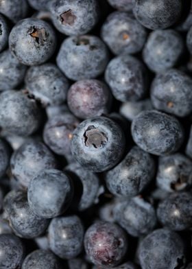 Fresh blueberries close up