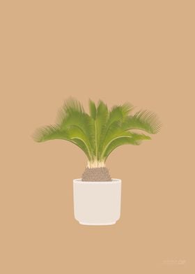 Sago Palm Illustration