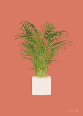 Parlor Palm Illustration