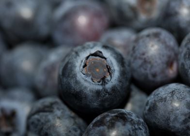 Fresh blueberries close up