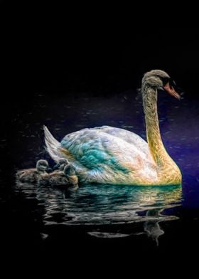Mama swan in lake