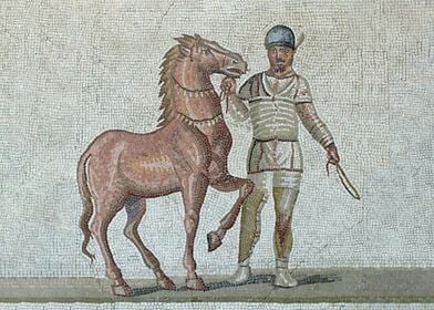 Mosaic white charioteer