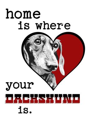 Dachshund Dog Love