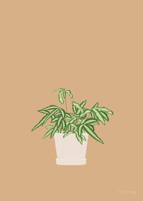 Ribbon Fern Illustration