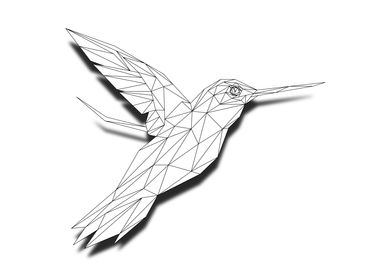 Kingfisher Wireframe