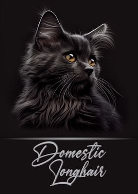 Domestic Longhair