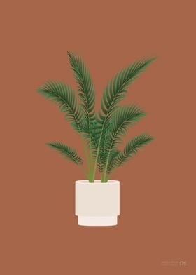 Areca Palm Illustration