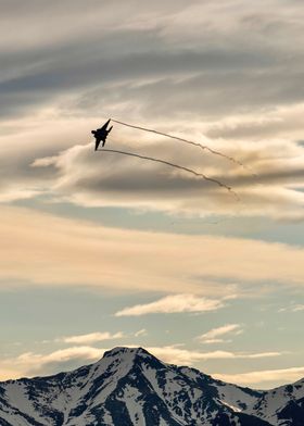 Alaskan Eagle