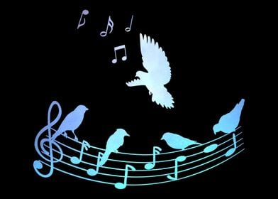 Musician Bird Songs