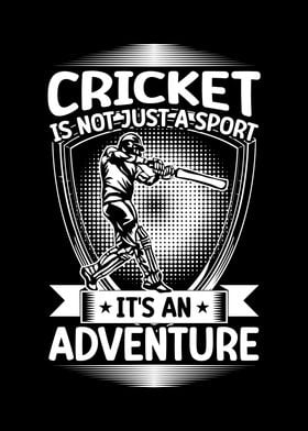 Cricket its an adventure