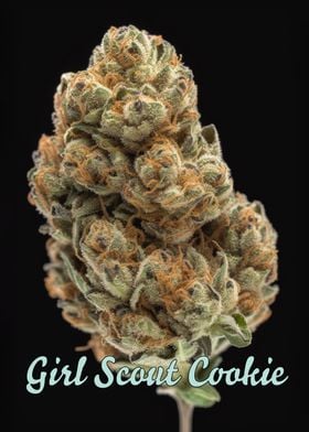 Girl Scout Cookies Poster