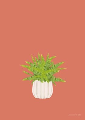 Boston Fern Illustration