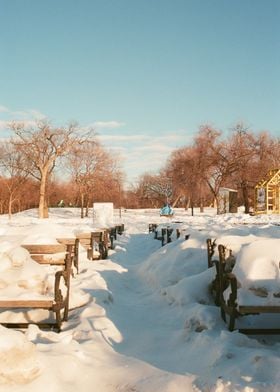 Minneapolis Winter 35mm