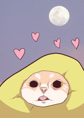 wholesome cat