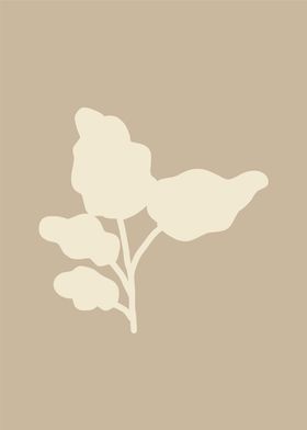 botanical minimalist