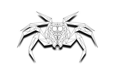 Spider Lowpoly Wireframe