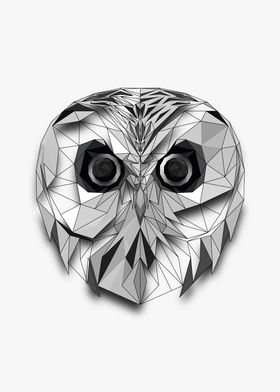 Owl Half Wireframe Lowpoly