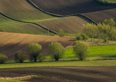 Land Patchwork