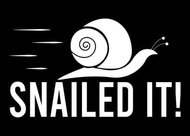 Snail Pun Slow Fast