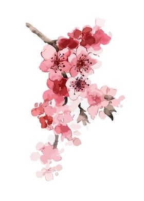 Floral cherry blossom