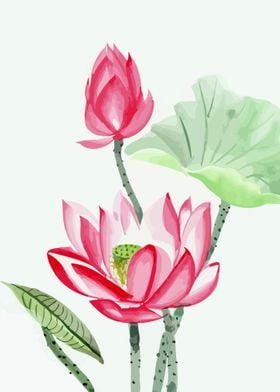 Floral  Lotus