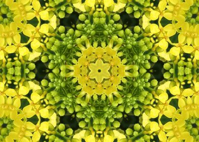Yellow Kaleidoscope 3