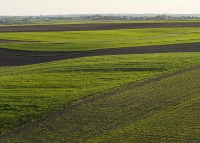 Fields Patchwork