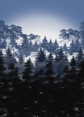 Blue foggy forest